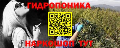 твердый Берёзовский