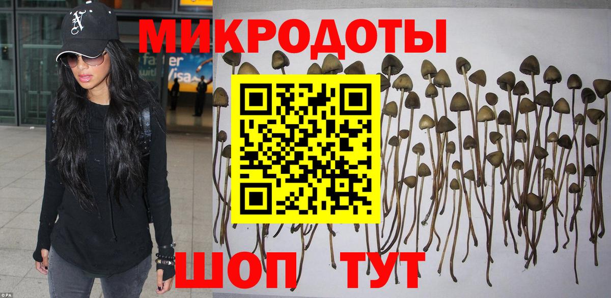 Псилоцибиновые грибы прущие грибы Кимры