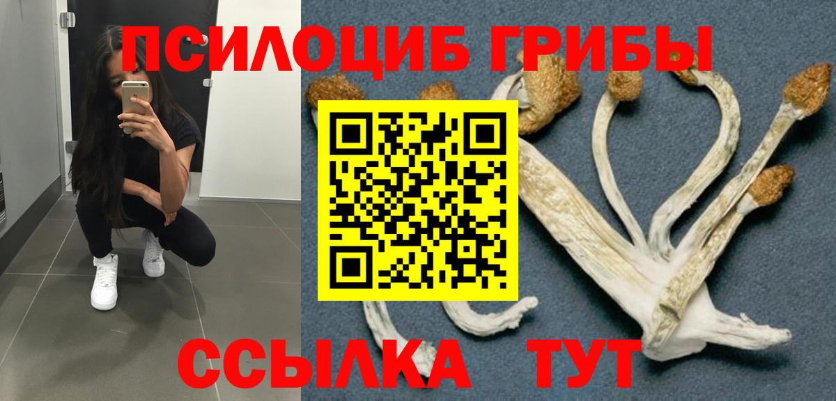 Кимры  Галлюциногенные грибы Psilocybine cubensis  Псилоцибиновые грибы MAGIC MUSHROOMS  Вход с VPN 
